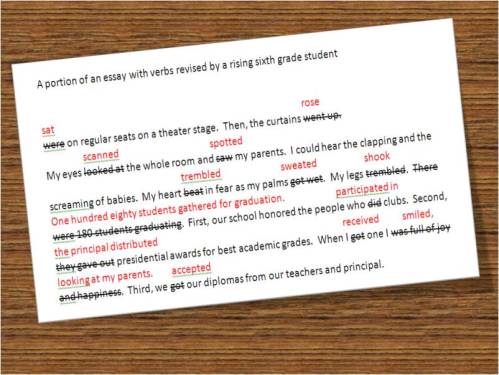 Excerpt from a student's paper showing revised verbs.